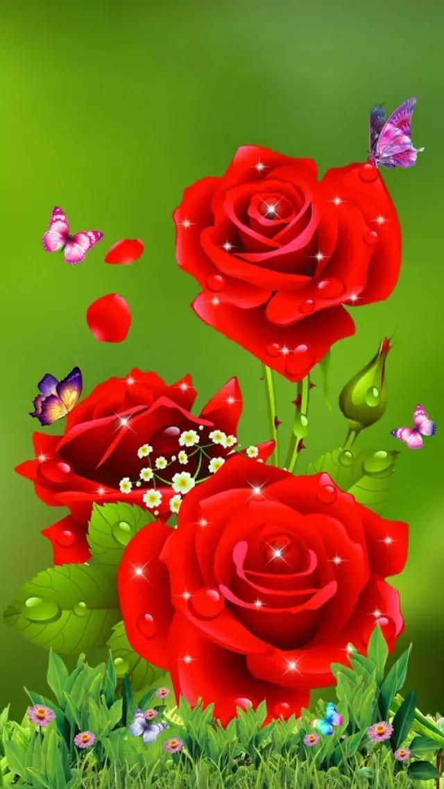 手机壁纸玫瑰唯美（唯美玫瑰花手机壁纸）(5)