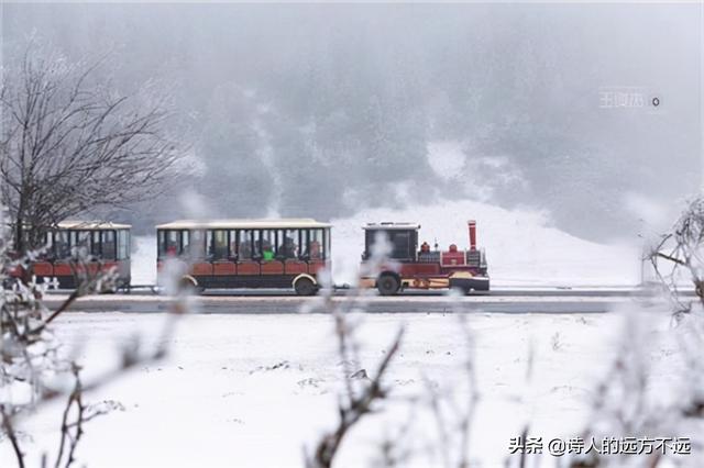 仙女山可以自带滑雪（12月30日仙女山冰雪季盛大启动）(7)