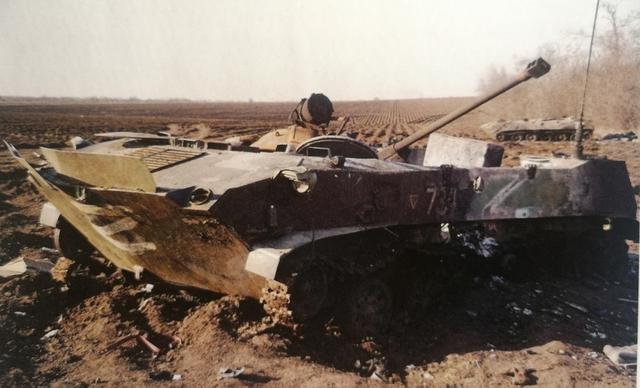战地法国超重型坦克（战地被击毁的装甲车辆）(17)