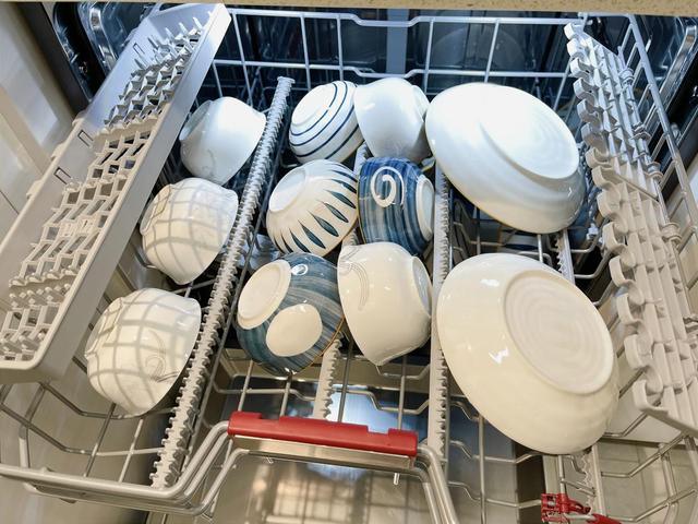 洗碗机的实用性大吗（洗碗机到底是智商税）(9)