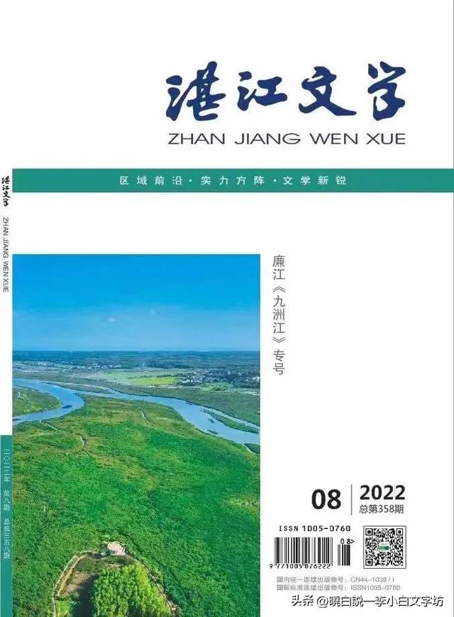湛江文学期刊（新刊速递湛江文学2022年第8期目录）