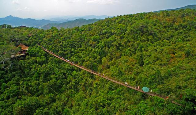 海南热带国家森林公园（海南亚龙湾热带天堂森林公园介绍）(5)
