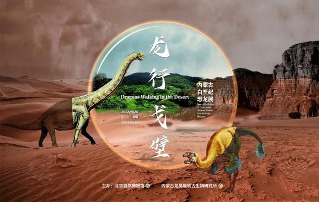 2023年4月北京展览馆展览（2023年1月北京地区博物馆展览信息）(18)