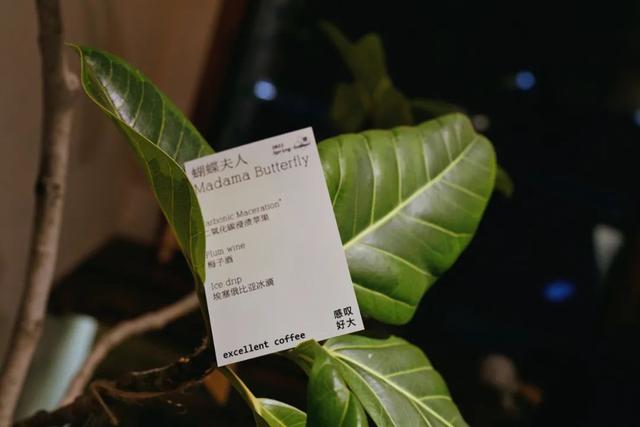 北京必去的咖啡馆推荐理由（北京最好的季节）(64)