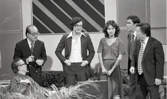 tvb全部电视剧大全（TVB历年电视剧大全-1979）(79)