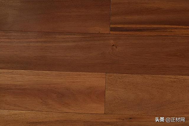 地板12种常见木材介绍（16种常见的地板木材）(9)