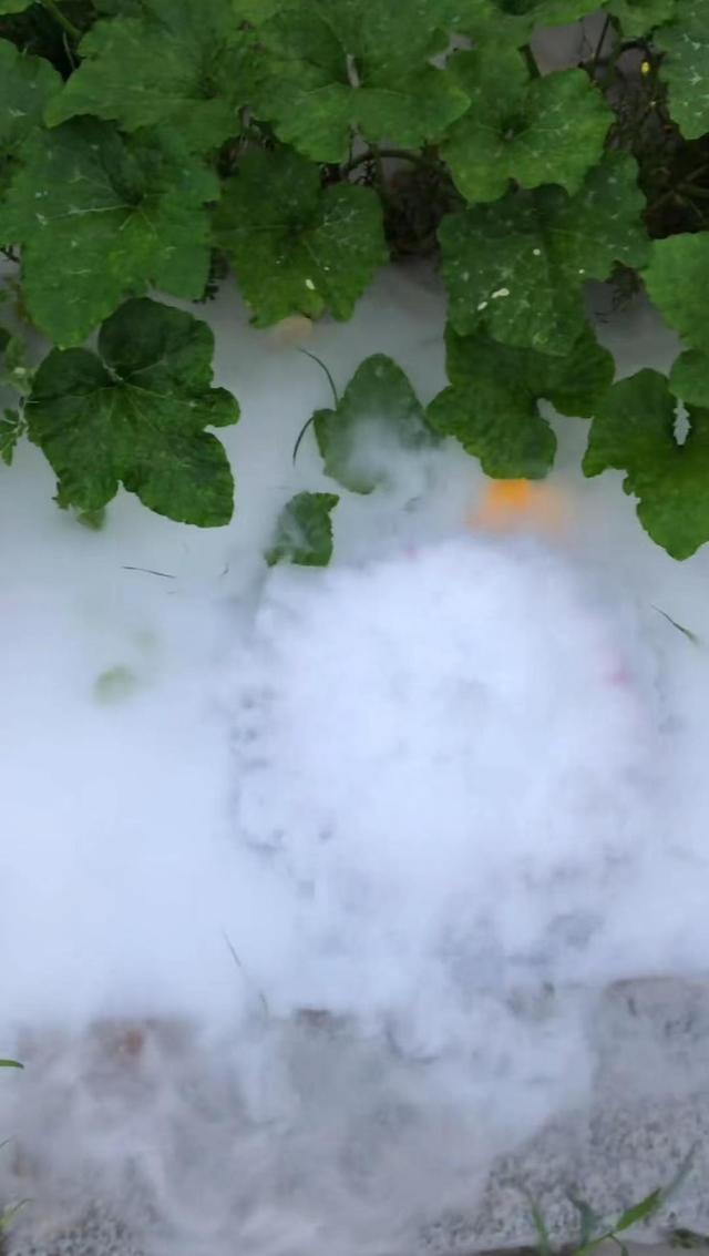 山东蔬菜雾化降温（干冰一亩大棚用10斤）(6)