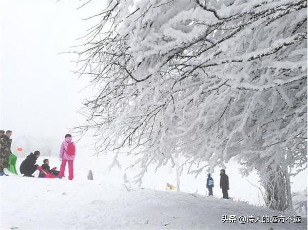 仙女山可以自带滑雪（12月30日仙女山冰雪季盛大启动）(8)