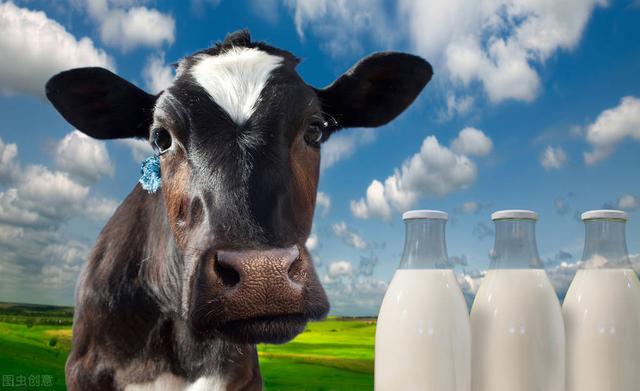 哪种牛奶是营养最好的（喝什么样的牛奶最有营养呢）(1)