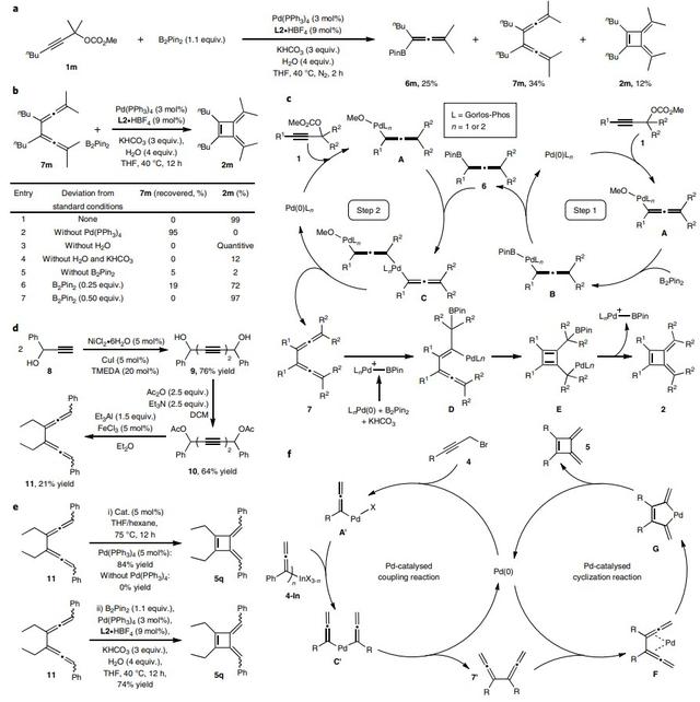 奉贤区新型催化剂及配体研究进展（33）(3)