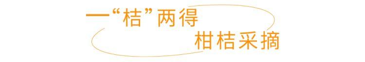 长兴岛橘子节几号开幕（2022年上海柑桔节本周六在长兴岛郊野公园开幕）(18)