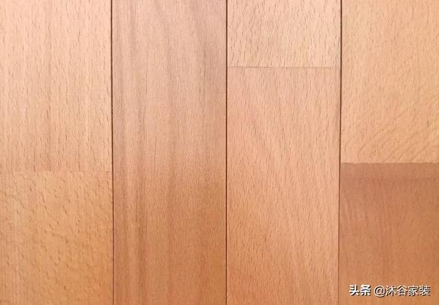 实木地板不能要哪种木材（看完这篇实木地板的木材攻略）(5)