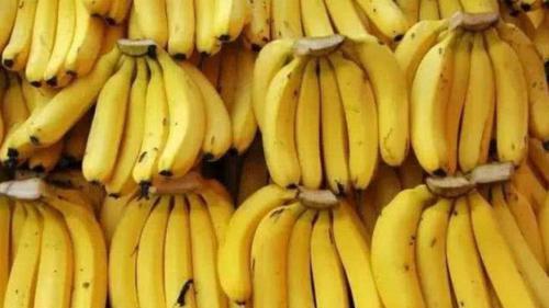 香蕉怎样挑选是否催熟（挑直的还是弯的）