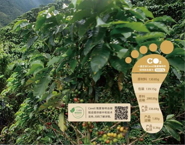 cop15咖啡（COP27Cavell瑰夏咖啡的可持续生产与碳足迹评价）(5)