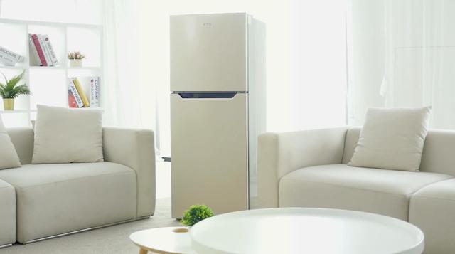 冰箱风扇会响是什么原因（冰箱维修服务冰箱风扇响是怎么回事）(2)
