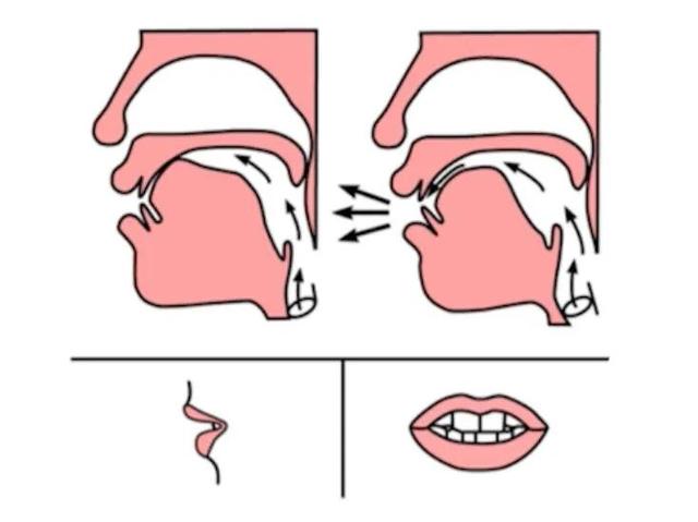 前鼻音发音技巧训练（今日干货分享①）(13)