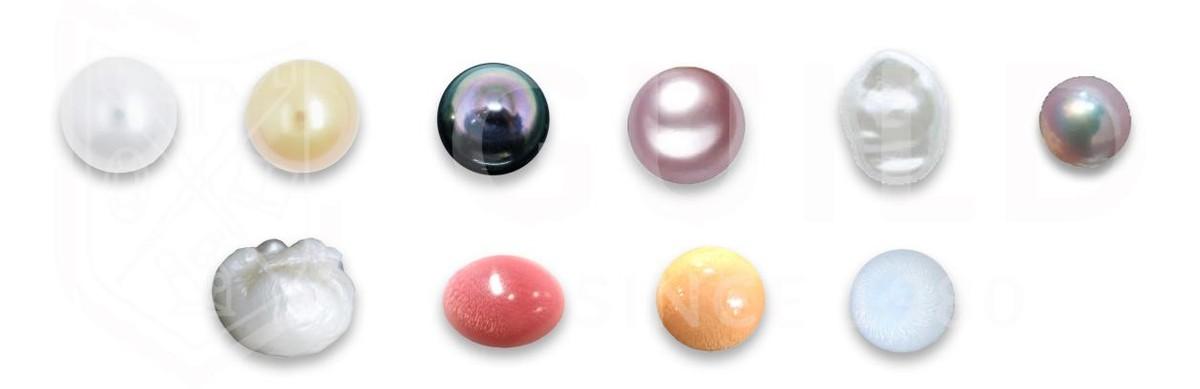 珍珠为何有多种颜色（原来珍珠有这么多颜色）(1)