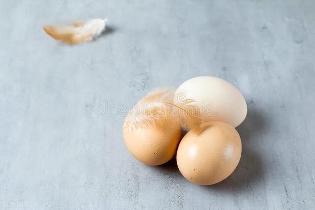 生毛蛋怎么储存时间长（毛蛋里面的白色硬块能吃吗）(2)