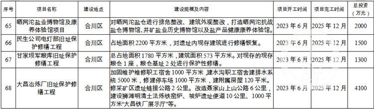 重庆金丝路重点项目（68个项目总投资338.79亿元）(8)