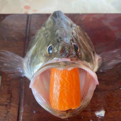 松花鳜鱼的做法（松鼠鳜鱼这样做好看好吃又解馋）(10)