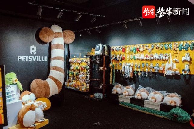 上海最大的宠物用品店实体店（国内首家宠物玩具实体互动体验店登陆南京）(3)