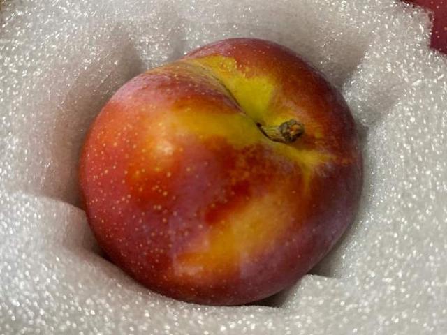 网红水果测评爆汁桔子（会爆汁可以吸许多浙江人念不对名字的时鲜水果）(4)