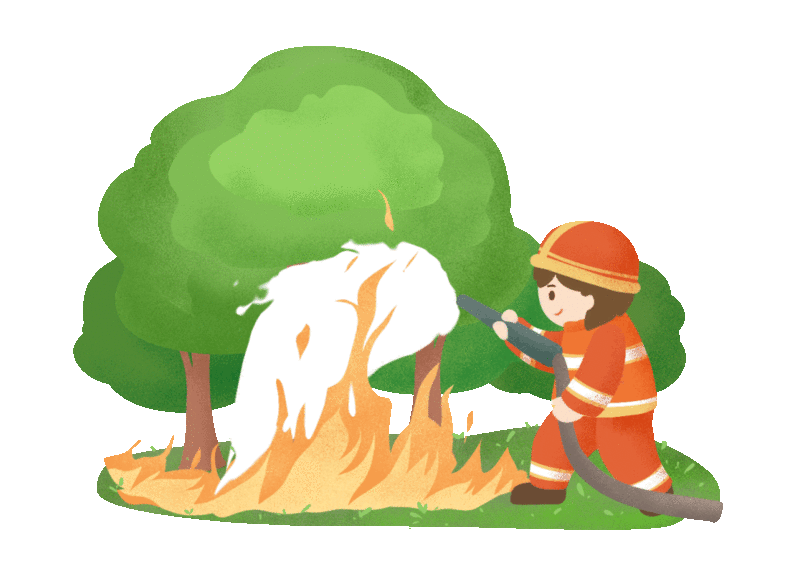 关于森林防火要点知识（这些森林防火常识）(5)