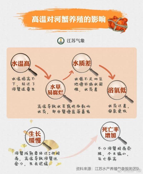 江苏青蟹养殖技术（江苏品蟹地图出炉）
