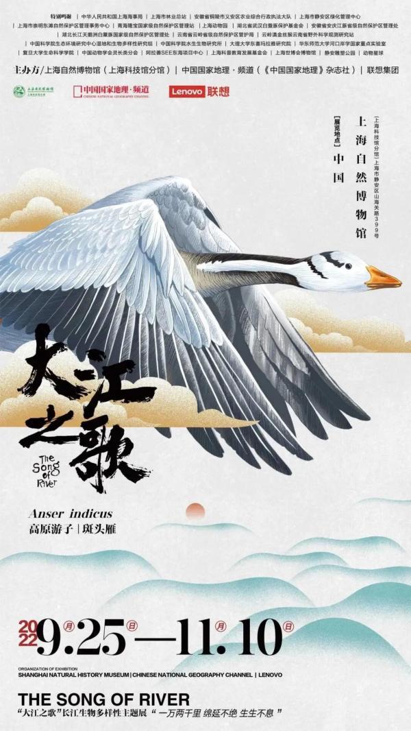 上海博物馆周边的景点介绍（乐游上海国庆文博艺术游）(38)