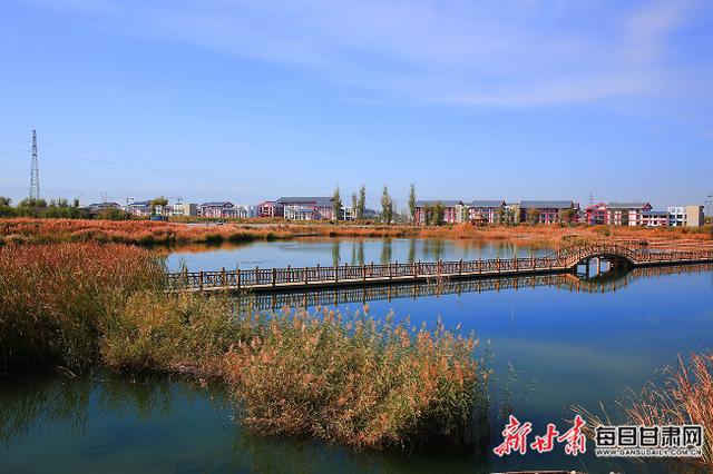张掖黑河生态和高质量发展规划（城市宜居生态品质显著提升）(4)