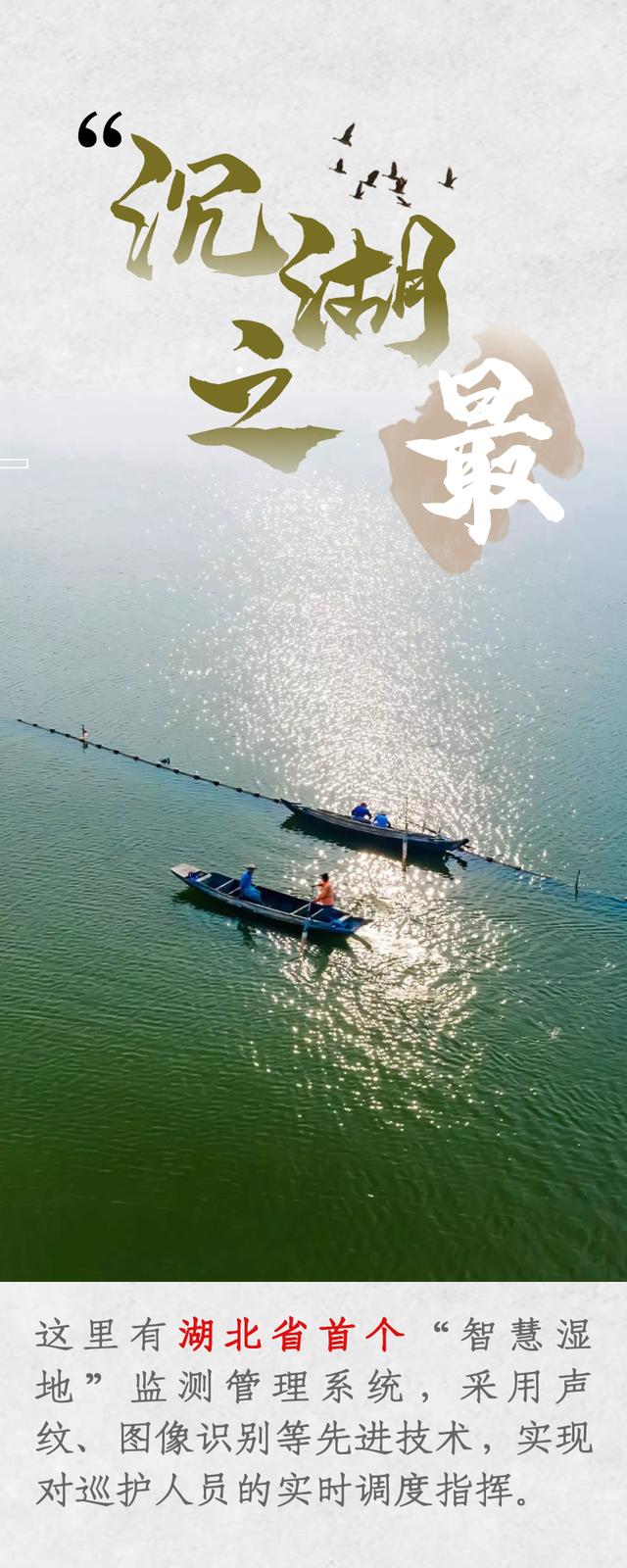 武汉最佳湿地公园（最大）(7)