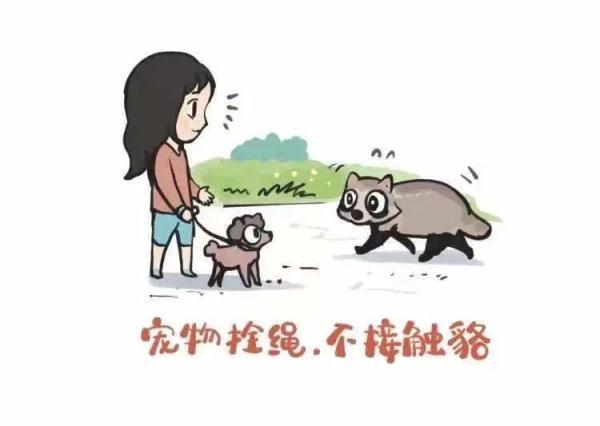 上海最便宜公园看小动物 上海估计有三五千只(6)