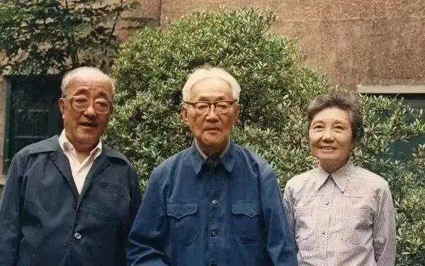 著名翻译家杨苡简历介绍（103岁著名翻译家杨苡去世）(3)