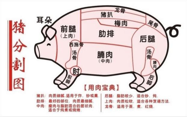 各部位猪肉食用方法（告诉你猪肉的各个部位应该怎么吃）