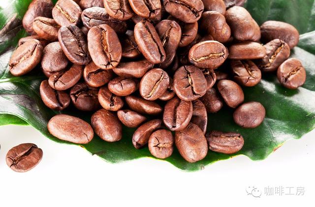 咖啡豆的种类及冲泡方法（咖啡小白如何选购咖啡豆回家冲煮）(2)