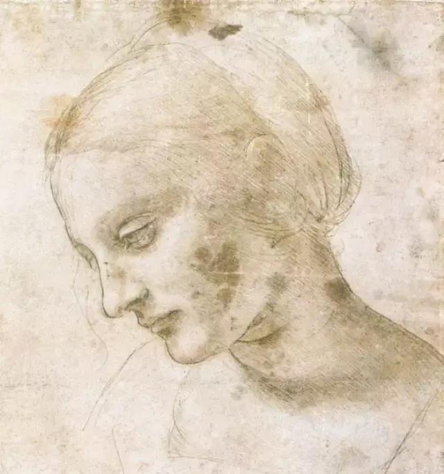 达芬奇最出名的画作怎么画（芬奇绘画作品全集）(119)